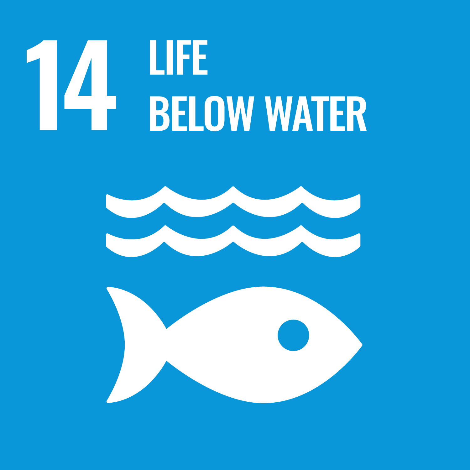 Let's protect the abundance of our oceans.