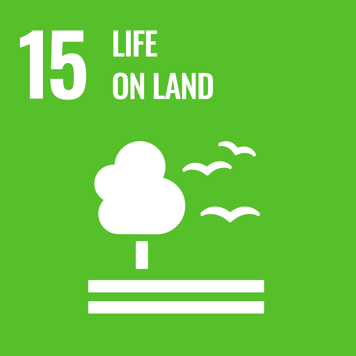 Let's also protect the abundance of land.