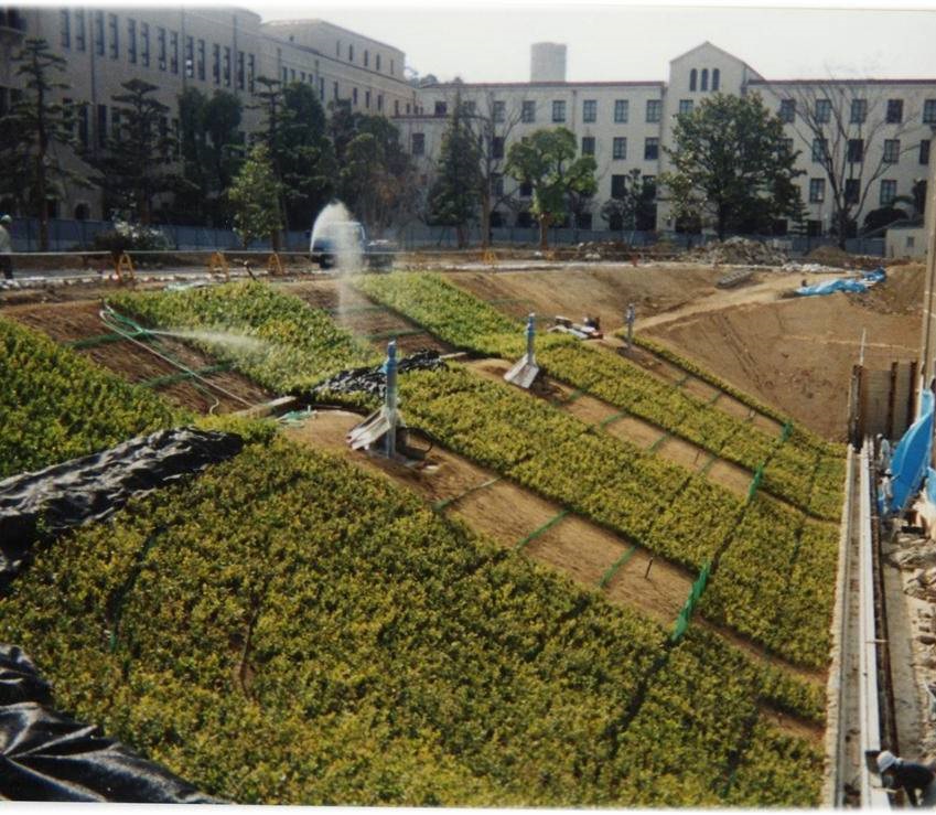 Hyogo Pref. Construction of slope for new university library (1099)