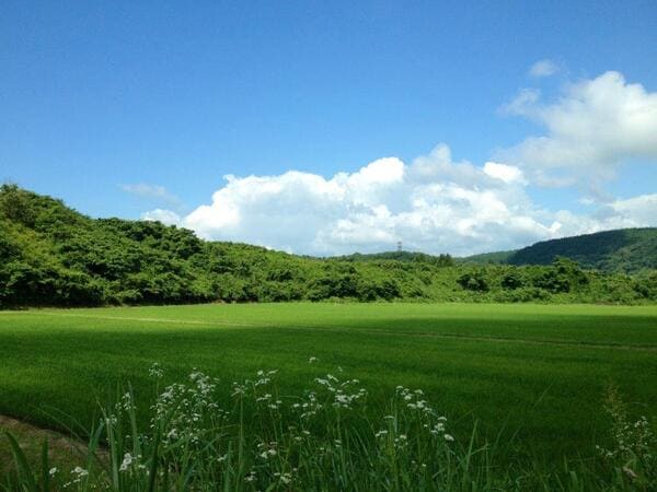 農村環境保全活動