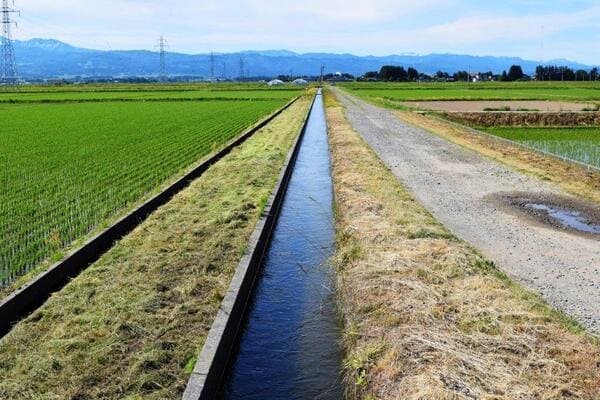 地域資源の基礎的な保全活動